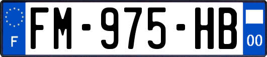 FM-975-HB