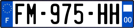 FM-975-HH