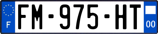 FM-975-HT