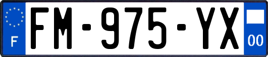 FM-975-YX