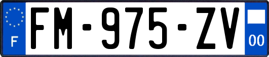 FM-975-ZV