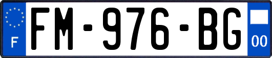 FM-976-BG