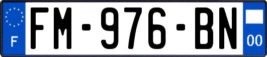 FM-976-BN