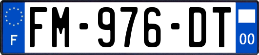 FM-976-DT