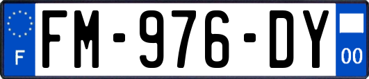 FM-976-DY
