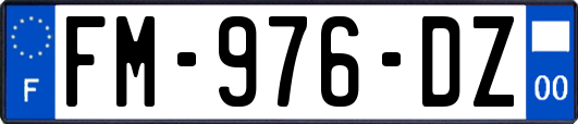 FM-976-DZ