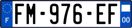 FM-976-EF