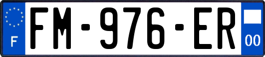 FM-976-ER