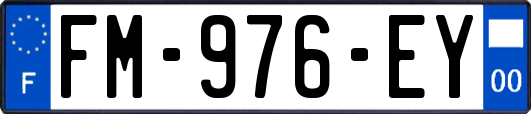 FM-976-EY