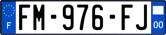 FM-976-FJ
