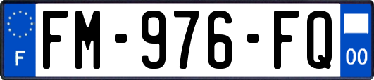 FM-976-FQ