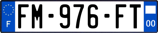 FM-976-FT