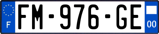 FM-976-GE