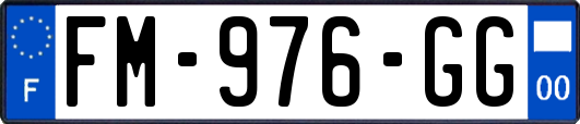 FM-976-GG