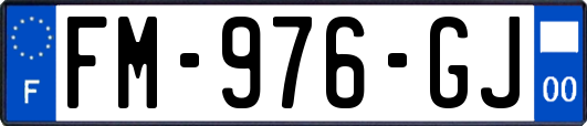 FM-976-GJ