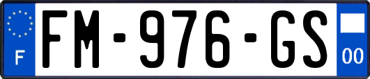 FM-976-GS