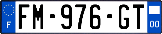 FM-976-GT