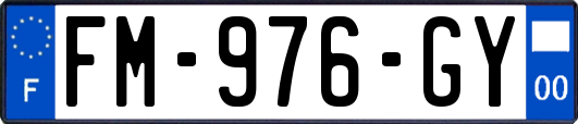 FM-976-GY