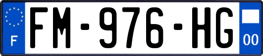 FM-976-HG