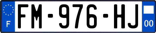 FM-976-HJ