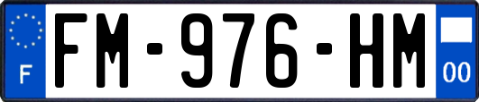 FM-976-HM
