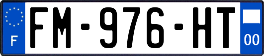 FM-976-HT