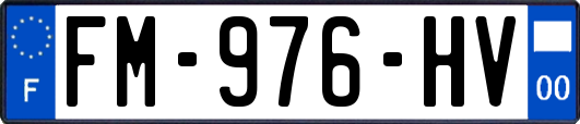 FM-976-HV
