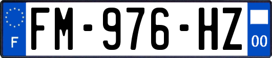 FM-976-HZ