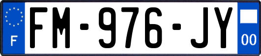 FM-976-JY