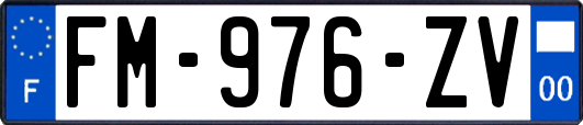 FM-976-ZV