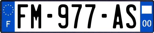 FM-977-AS