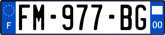 FM-977-BG