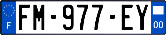 FM-977-EY