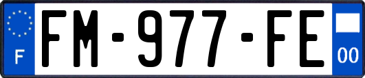 FM-977-FE