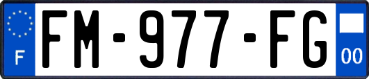 FM-977-FG