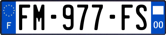 FM-977-FS