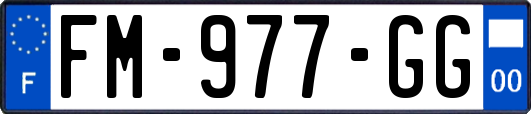 FM-977-GG