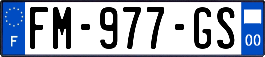 FM-977-GS