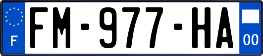 FM-977-HA