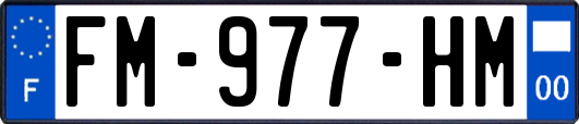 FM-977-HM