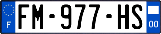 FM-977-HS