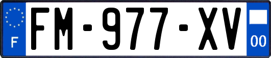 FM-977-XV