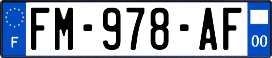 FM-978-AF