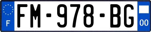 FM-978-BG