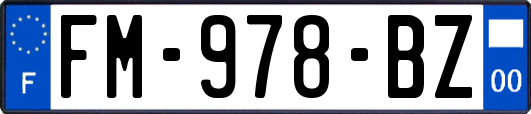 FM-978-BZ