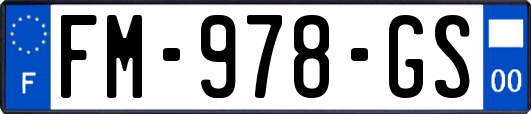 FM-978-GS