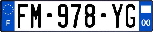 FM-978-YG
