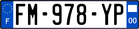 FM-978-YP