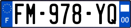 FM-978-YQ