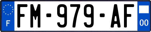 FM-979-AF